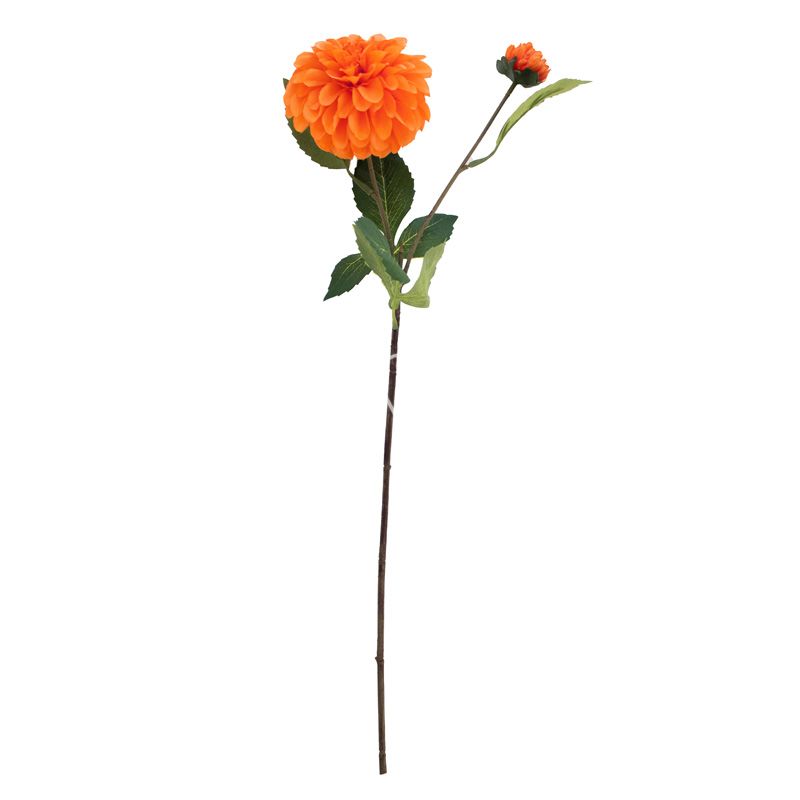 Flower Dahlia orange, 60 cm by Colmore