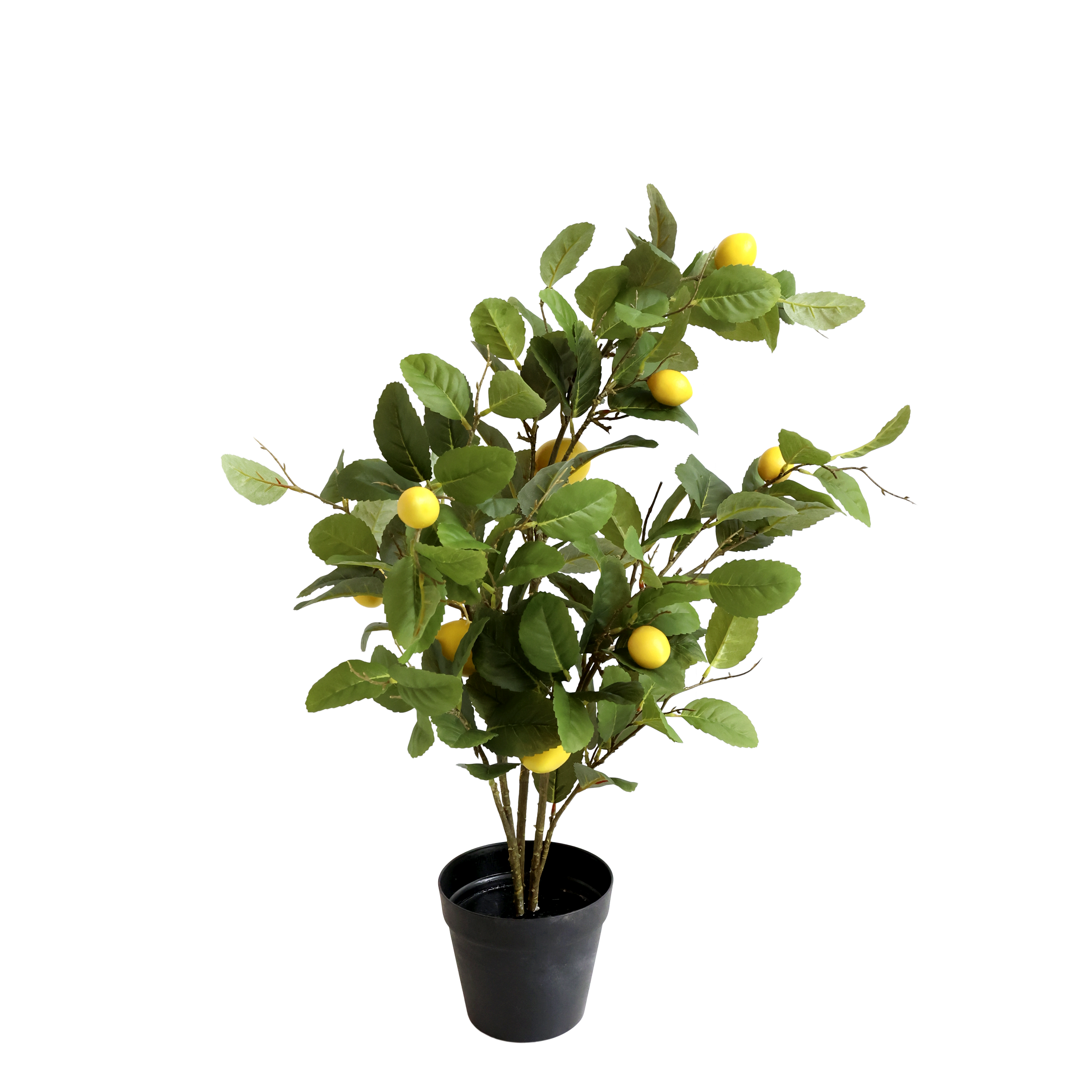 Fleur Lemon Tree – 80x50x35 cm natur by Chic Antique