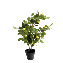 Fleur Lemon Tree – 80x50x35 cm natur by Chic Antique