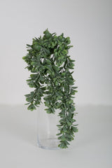 Hængeplante Crassula Kunstig plante 74 cm