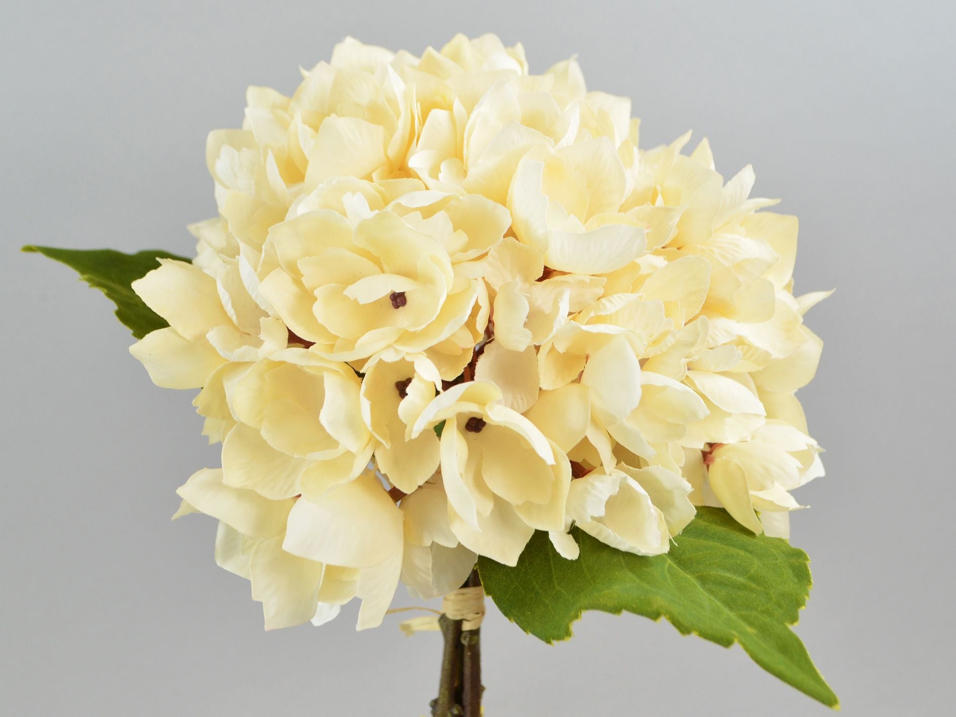 Kunstig Hortensia Pick med Blade Creme 35cm by Deko Florale