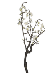 Kirschzweig 94 cm, knorrig, weig by SL