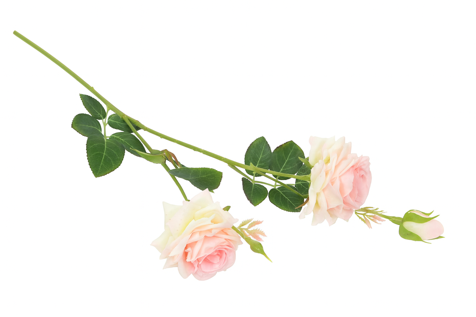 Rosengren Kunstig rose med naturtro udtryk 65 cm by Geilu Sala