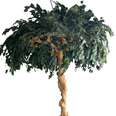 Kæmpe træ i potte – Naturtro kunsttræ til indretning by Mr. Plant