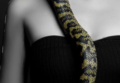 Indrammet vægmaleri – Lady with Snake 80x120 cm by L.C Wholesaler