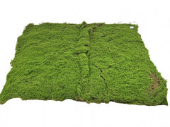 Mostæppe 100 x 100 cm by Geliu Sala