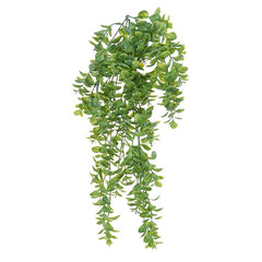Hængeplante Crassula Kunstig plante 74 cm