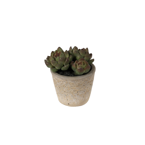 Kunstig Echeveria i betontop 12,5 cm by SL