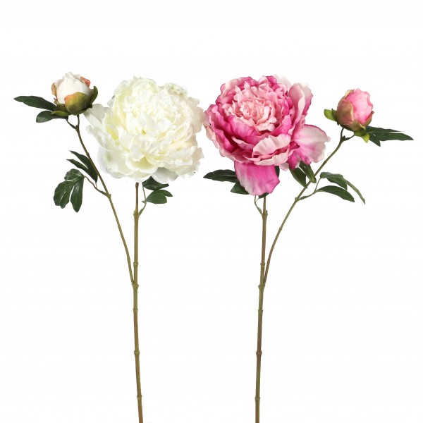 Pfingstrose x 2, 64 cm Creme by SL