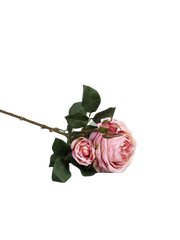 Rose "Cambridge" Langstammet kunstig blomst, 64 cm by T&T