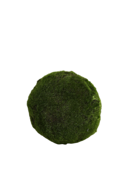 Mos Kugle – 20 cm by T&T