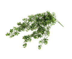 Blatthänger "Muschel" – 73 cm grøn by SL