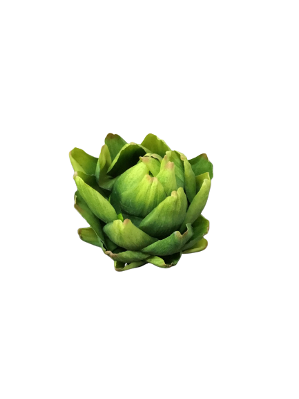 Dekorativ artiskok – 13 cm by Krone 1