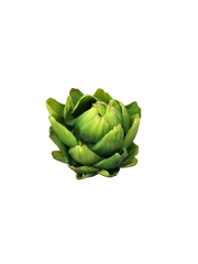 Dekorativ artiskok – 13 cm by Krone 1