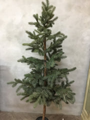 Grantræ – 185 cm by Krone 1