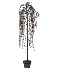 Dekorativt træ med kogler 107 cm by Krone 1