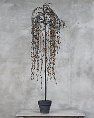 Dekorativt træ med kogler 107 cm by Krone 1