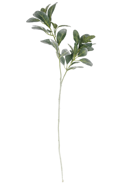 Lammets øreplante – kunstig gren by T&T