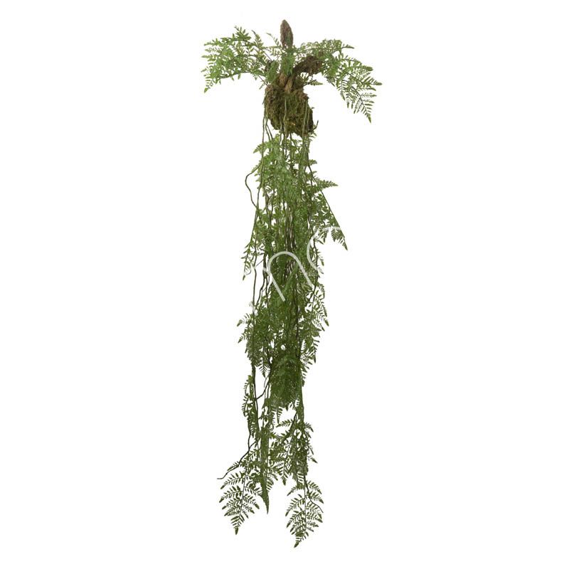 Fern hanging vine 53x53x144