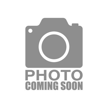 Rosenbusch x7, 45cm, malve