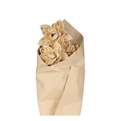 Fleur dried Dahlia Flowers H55 cm cream in brown paper