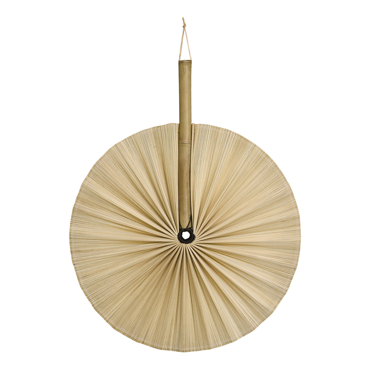 Fan bamboo for deco H53/D42 cm nature