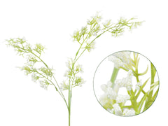 Blomstergren, 74cm, cremefarvet