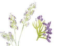 Blomstergren, 74cm, lilla