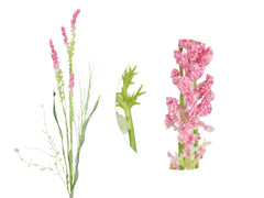 Blomstergren, 76cm, lilla