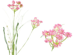 Blomstergren, 68cm, lilla