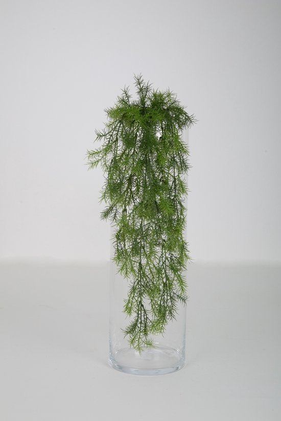 Hængeplante Slørasparges 76 cm