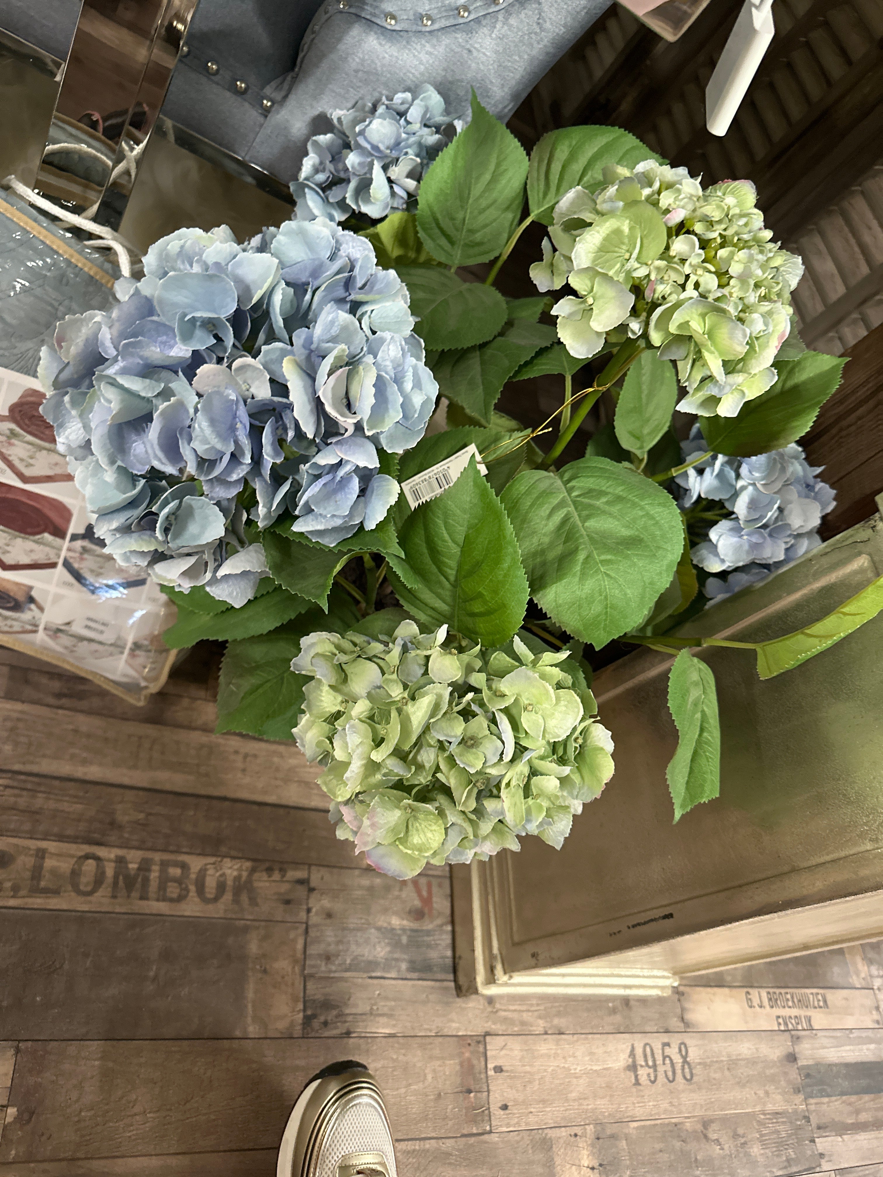 Hortensia i potte – blå by Krone 1