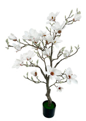 Magnolia Træ i Potte Hvid, 120 cm