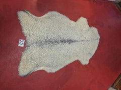 Gotland Standard 55