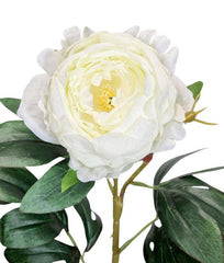 Blomst Pæon hvid 63 cm