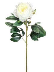 Blomst Pæon hvid 63 cm