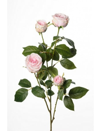 Rose 60 cm. rosa