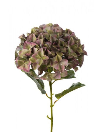 Hortensia 110 cm. lilla