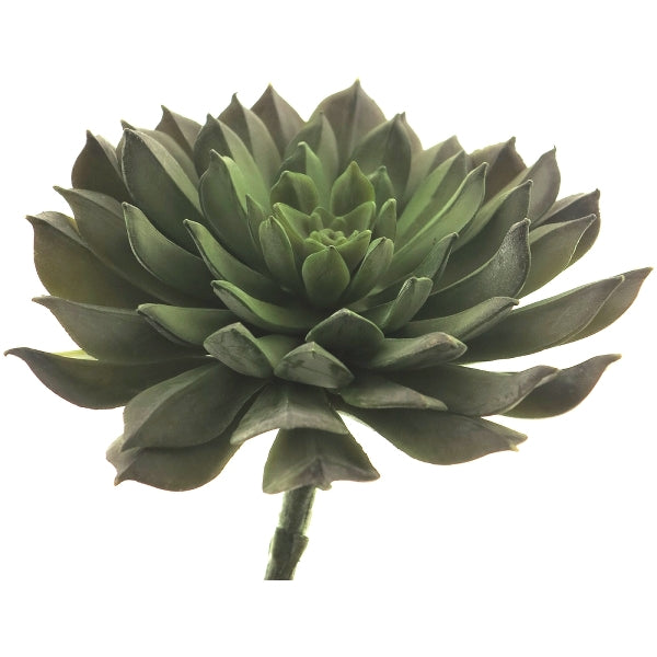 Artificial Aeonium green 15 cm