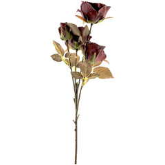 Dried rose spray bordeaux 54 cm