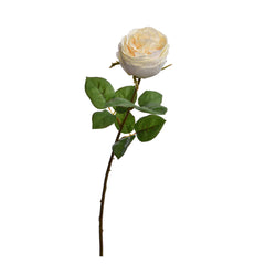 Cremefarvet rose 57 cm