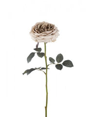 Rose 65 cm. camel