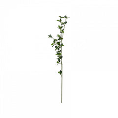 Flower aglaia green 90cm