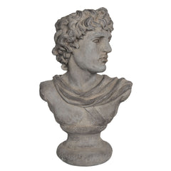 Mandlig Bust figur 50x32x78cm