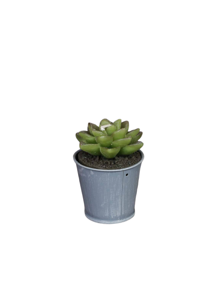 Stearinlys formet som plante 5cm høj D6 cm