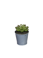 Stearinlys formet som plante 5cm høj D6 cm