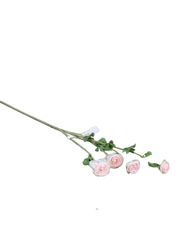 Mini Ranunculus W / 3 Flrs