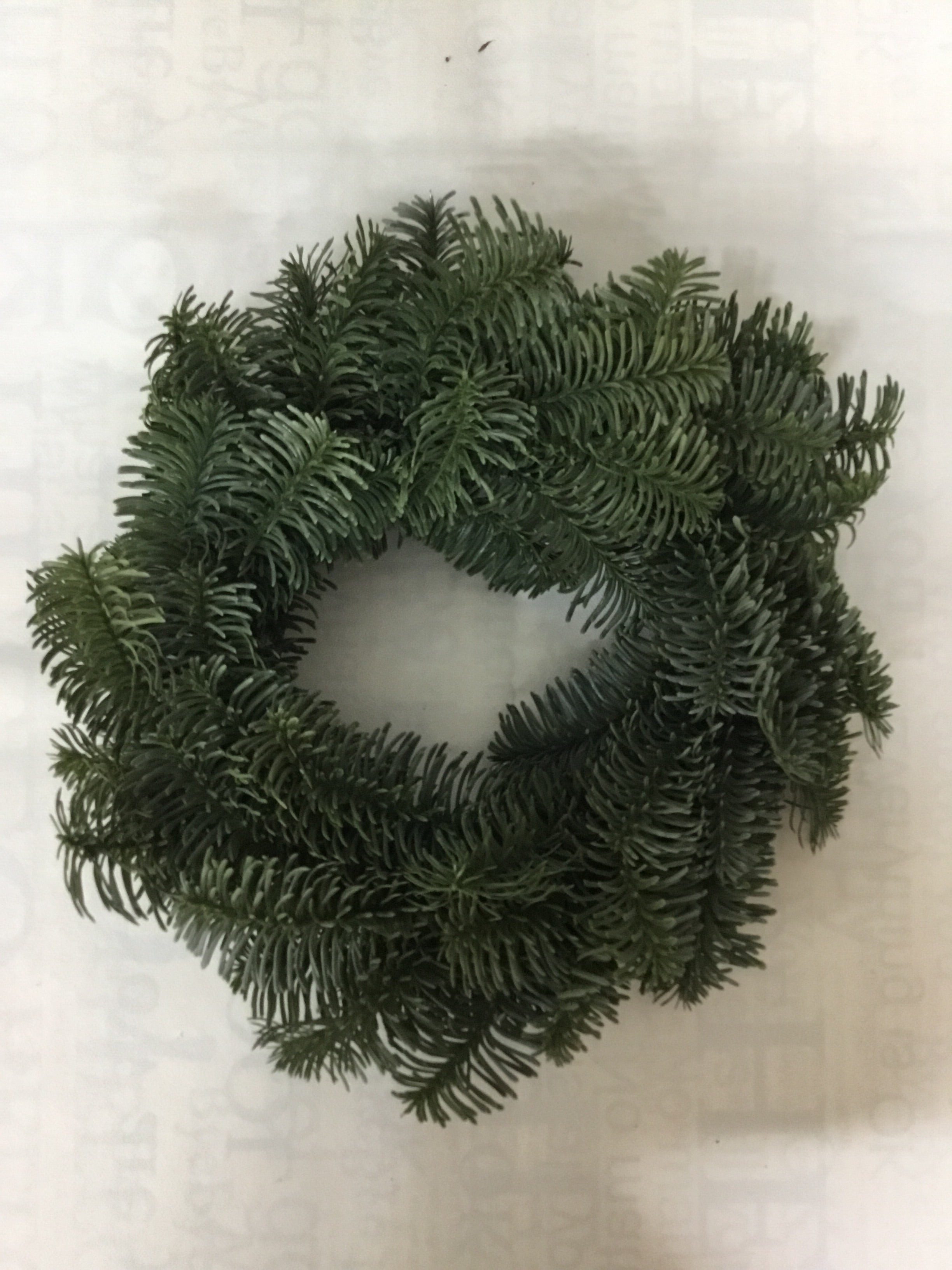 Wreath of spruce