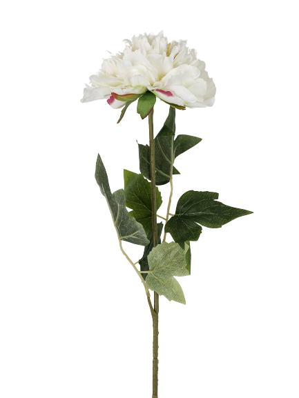 Flower peony white 69cm
