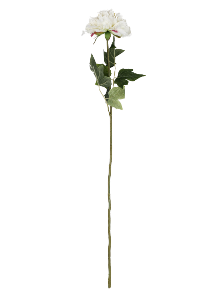 Blomst peony hvid 69cm